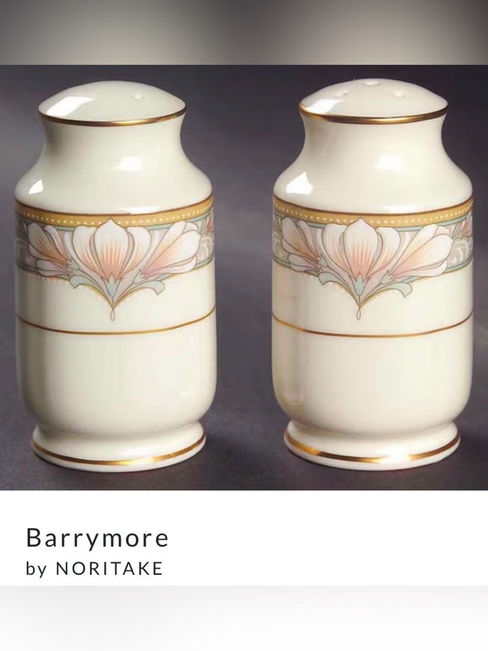 Noritake Barrymore Salt & Pepper Set Fine Bone China